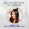 Clairol Root Touch-Up Semi-Permanent Hair Color Blending Gel, 6 Light Brown, Pack of 1