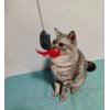 WLDJMP Interactive Cat Toys Hanging Cat Toys for Indoor Cats Kitten Play Chase Exercise with Bell, New Spiral Clamping Teasing Cats Toys for Door Frame (Grey+White)