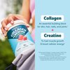 Purely Inspired Collagen and Creatine Powder, Watermelon Strawberry - 10g Collagen & 3g Creatine Builds Lean Muscle - Flavored Drink Mix with Key Electrolytes - Gluten-Free & Zero Sugar