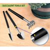Wobodan 12 Pcs Succulent Tools Set Mini Transplanting Garden Tools Kit for Indoor Gardening Flower Pot Cactus Care