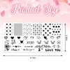 ALIBBON 6 Pcs Valentine's Day Nail Stamping Plates Set, Heart Bankground Nail Art Stamp Templates, Love Words Stamp Templates Kit, Valentines Metal Nail Plates for DIY Printing Decor 4.7×2.4"