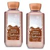 Bath and Body Works 2 Pack Snowflakes & Cashmere Shower Gel 10 Oz.