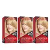 Revlon Permanent Hair Color, Permanent Hair Dye, Colorsilk with 100% Gray Coverage, Ammonia-Free, Keratin and Amino Acids, 81 Light Blonde, 4.4 Oz (Pack of 3)