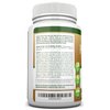 NutriONN PSYLLIUM Husk Capsules - 1450mg Per Serving - 240 Capsules - Double Strength - Premium Psyllium Fiber Supplement - Great for Digestion and Regularity - 100% Natural Soluble Fiber