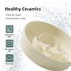 Havniva Ceramic Slow Dog Feeder Bowl for Small Dog, Slow Dog Food Bowl Small, Slow Dog Water Bowl, Pet Slower for Fun, Stop Bloat, Preventing Choking (1 x Cream White, 6inch)