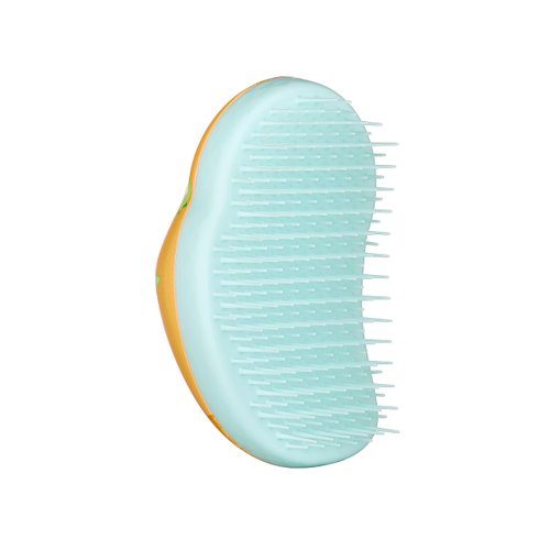 Tangle Teezer Original Detangler Brush, Dry & Wet Travel Size Mini Hair Brush, for Kids & All Hair Types, Dino Mighty