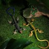 NUOBESTY Realistic Fake Lizards Artificial Reptile Lizard Models Plastic Lizards Action Figures for Halloween and April Fool's Day Pranks, 2 Pieces