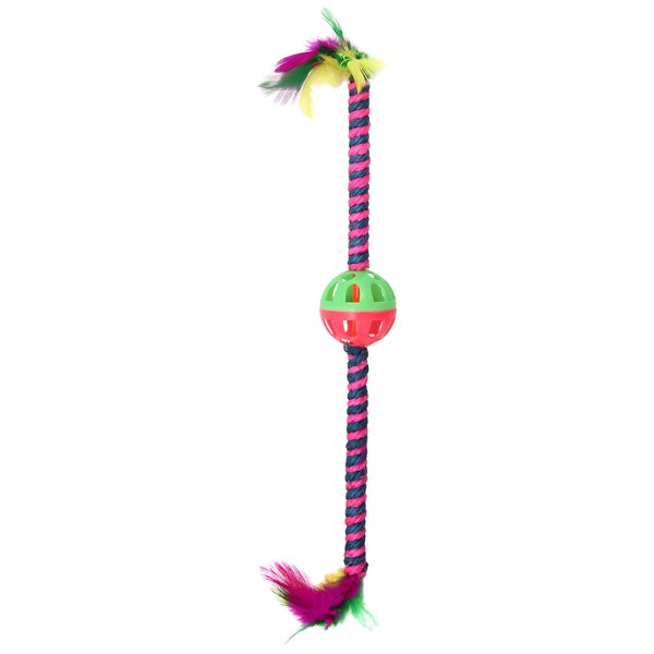 Bow Wow Feather Teaser Cat Toy