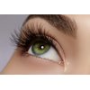 Dorisue Wispy eyelashes Brown lashes Natural looking false eyelashes Lightweight Reuseable 5 Pair Set X4
