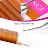 TDANCE Brown Lash Extensions Colored Lash Extensions 0.03/0.05/0.07mm C/D Curl Premium Brown Eyelash Extensions Salon Use (Light Brown,0.05-C,8-15mm)
