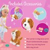 Glitter Girls – Stuffed Dog & Carrier – Doll Accessories – Golden Labradoodle – Toys for Kids 3 Years+ – Froo Froo & Pup Carrier Set