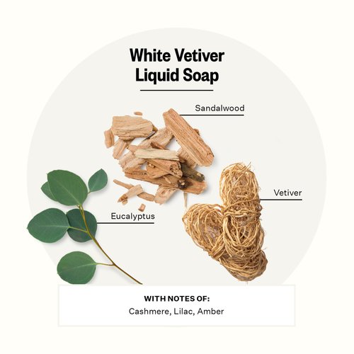 APOTHEKE Liquid Hand Soap, White Vetiver (10 Fl Oz) - Hydrating Hand Wash with Natural Coconut & Aloe Vera