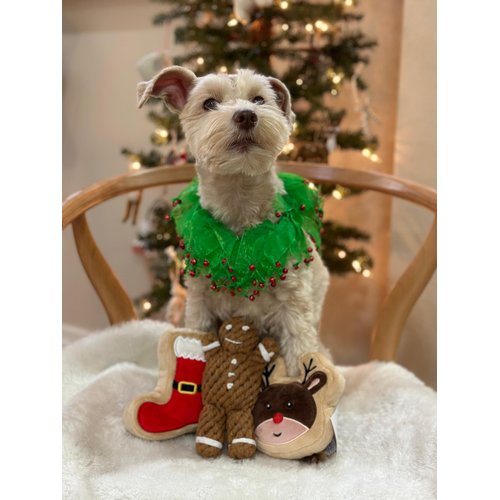 Midlee Wreath Jingle Bell Decorative Dog Collar (Medium)