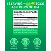 Zenwise Health Green Tea Extract with EGCG & Green Coffee Bean - Antioxidant & Immune Supplement –Metabolism Support + Heart & Brain Health+Memory Boost - 120 Count