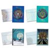 Tree-Free Greetings - Winter Solstice Greeting Cards - Artful Designs - 16 Cards + Matching Envelopes - Made in USA - 100% Recycled Paper - 5"x7" - Winter Solstice (GP54098)