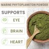 AKI Marine Phytoplankton Powder | Source of Raw Omega-3 EPA Micro Algae Nannochloropsis - Plant Based Proteins, Vitamins for Overall Wellness | Complete Protein Source, Vegan & GMO Free (2 Oz / 57G)