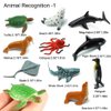 24-Pack Sea Ocean Animal Figures - Realistic Plastic Pool Party Toys Set with Turtle, Octopus, Shark - Children's Educational Birthday Gifts