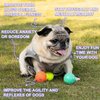 WIGGLYTAIL Dog Balls 12 Pcak, 9 Latex Balls and 3 Tennis Balls for Small and Medium Dogs - for Automatic Dog Ball Launcher(2 Inches Balls)
