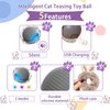 Oiuyamn Cat Interactive Toy Ball, Smart Rolling Cat Toy, Electric Pet Toy with Plush Cover and Plush Ball, Automatic Moving Cat Toy