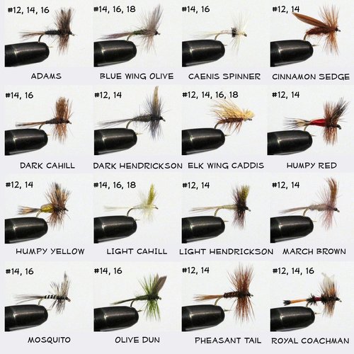 Fly Box + 100 Assorted Fly Fishing Fly Package