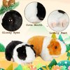 redaica Valentines Day Gifts for Kids, 2pc Guinea Pig Stuffed Animals Realistic Plush Cute Valentine Stuffed Animals Toys, Small Live Animals Pet Doll for Boys Girls Valentines Day Classroom Gifts