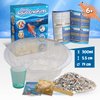 Science4you Artemias Aquatic Sea Creatures (Triops Family) - Grow Your Own Water Dragons Kit, Aqua Eggs Included, Science Kit for Kids Age 6 7 8+, Science Game, Toy and Gift for 8+ Boys & Girls