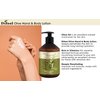 Difeel Olive Oil Hand and Body Lotion 16.9 Ounce
