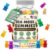 Sea Moss Gummies for Adults & Kids – Contains Irish Sea Moss + Burdock Root + Bladderwrack + Sodium – 60 Gummies for Stronger Immune, Healthier Skin & Hair, Detox – Made in USA