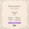 Gaia Herbs Adrenal Health Daily Support - with Ashwagandha, Holy Basil & Schisandra - Herbal Supplement to Help Maintain Healthy Energy and Stress Levels - 120 Liquid Phyto-Capsules (120 Count)