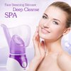 Face Steamer,Beauty Nymph Spa Home Facial Steamer Sauna Pores and Extract Blackheads, Rejuvenate and Hydrate Your Skin for Youthful Complexion- Face Steaming Skincare Deep Cleanse SPA