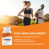 Vimergy Chaga Mushroom Capsules, 30 Servings – Real Mushroom Herbal Supplement for Cardiovascular Support - Kosher, Non-GMO, Gluten-Free, Vegan, Paleo - 100% Pure Chaga with Zero Fillers (90 Count)