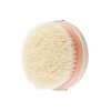 EcoTools Dry Body Brush, for Post Shower & Bath Skincare Routine, Removes Dirt & Promotes Blood Circulation, Helps Reduce Appearance of Cellulite, Eco-Friendly, Vegan & Cruelty-Free, 1 Count