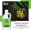 Neem Oil (33.81 fl oz) Pure & Natural, Virgin Cold Pressed Neem oil, Good for dry skin to moisturize, Dandruff free hair,Ideal for Indoor&Outdoor Plant for Green Garden