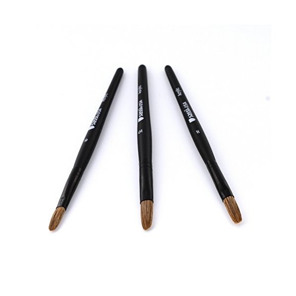 Sassi Acrylic Nail Brush 3pk #1113