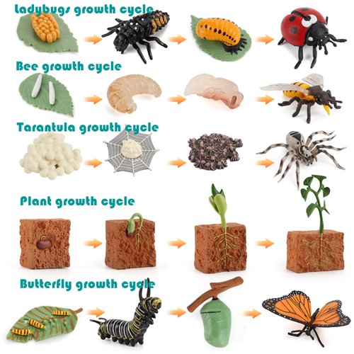 20 PCS Insect Animal Life Cycle Model Figure Plant Spider Bee Butterfly Figurines Ornament Cake Toppers Party Favors Supplies Cognitive Toy for Boys Girls Kids