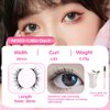 FindLove 2 pairs Magnetic Lashes with Applicator Short Waterproof Magnetic Eyelashes Kit Natural Look Easy to Wear(XEM)