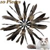 CATDABIR Cat Feather Toys Refills Da Bird Cat Toy, 10 PCS Natural Feather Da Bird Refills, Cat Wand Replacement Feathers for Cat Toys