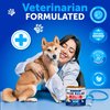 Dog Allergy Relief Chews - Itching Skin Relief for Dogs - Fish Oil - Omega 3 - Seasonal Allergies Pills - Skin & Coat, Anti Itch,Hot Spots Treatment - Canine Immune Health Supplement - 180 Soft Treats