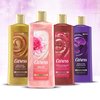 CARESS BODY WASH Black Orchid & Patchouli Oil 18.6 Oz, 18 Oz (PPAX1258390)