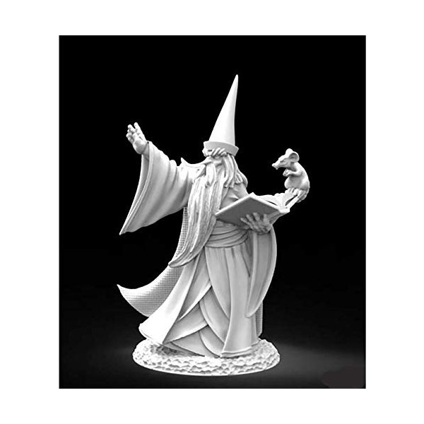 Bones USA Darius The Wizard Miniature Figure 25mm Heroic Scale Reaper Reaper Miniatures