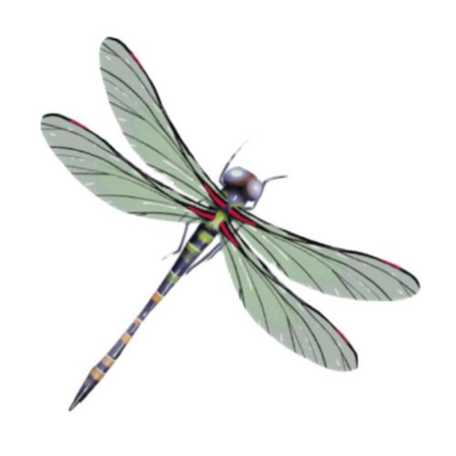 3 Sheets Colourful Dragonfly Temporary Tattoo Stickers Small Pattern Shoulder Arm Ankle Realistic Fake Tattoo, green