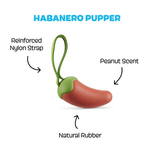 BARK Habanero Pupper Dog Toy for Medium Dogs – Built for Aggressive Chewers Who Love Tugging, Tossing, and Thrashing Fun