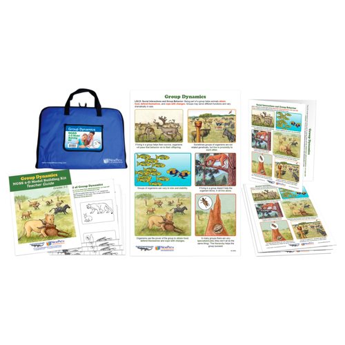 NewPath Learning Group Dynamics NGSS 2D Model Building Kit