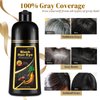 Instant Black Hair Dye Shampoo 3 in 1, 100% Gray Coverage in 15 Minutes, Plant Based Hair Color Kit for Women & Men, Natural Hair Dye, Simpler Hair Color Shampoo with Conditioner, Shampoo Para Canas