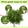 Avocado Tree Fertilizer, Complete Liquid Avocado Plant Food, 8 oz (250mL)