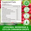 Berberine Supplement with Ceylon Cinnamon, Berberine Liquid Drops with Turmeric Curcumin, Ceylon Cinnamon, Bitter Melon,Immune Support, Digestive Health Support, 60ml