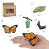 ​Montessori Life Cycle Learning - Montessori Life Cycle Animal Figures with Flash Cards, Plastic Insects Monarch Butterfly Kit Caterpillar Toy for Kids, Realistic Animal Figurines (Butterfly)
