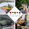 Bombite 40pack Crappie Jig Heads,Crappie Jigs Fishing Jig Heads Hook Lure Fishing Jigs Heads for Crappie Bass Fishing 1/16oz