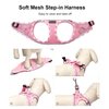 Mercano Soft Mesh Dog Harness and Leash Set, No-Chock Step-in Reflective Breathable Lightweight Easy Walk Escape Proof Vest Harnesses with Safety Buckle for Small Medium Dogs, Cats (Pink, S)
