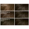 SoftSheen-Carson Dark and Lovely Fade Resist Rich Conditioning Hair Color, Permanent Hair Color, Up To 100 percent Gray Coverage, Brilliant Shine with Argan Oil and Vitamin E, Natural Black